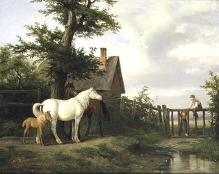 Unknown Image